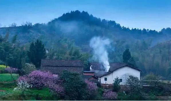 做饭,蔡志杰,老皮子,母亲