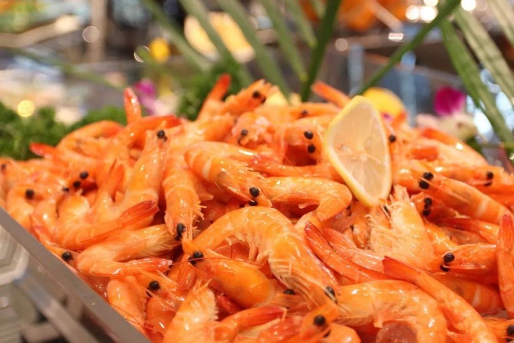 大妈吃自助餐疯狂抢食,整盘大虾边吃边丢,岂料