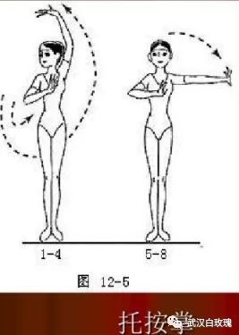 古典舞基础(二)----古典舞基础手位及《基本舞姿组合》