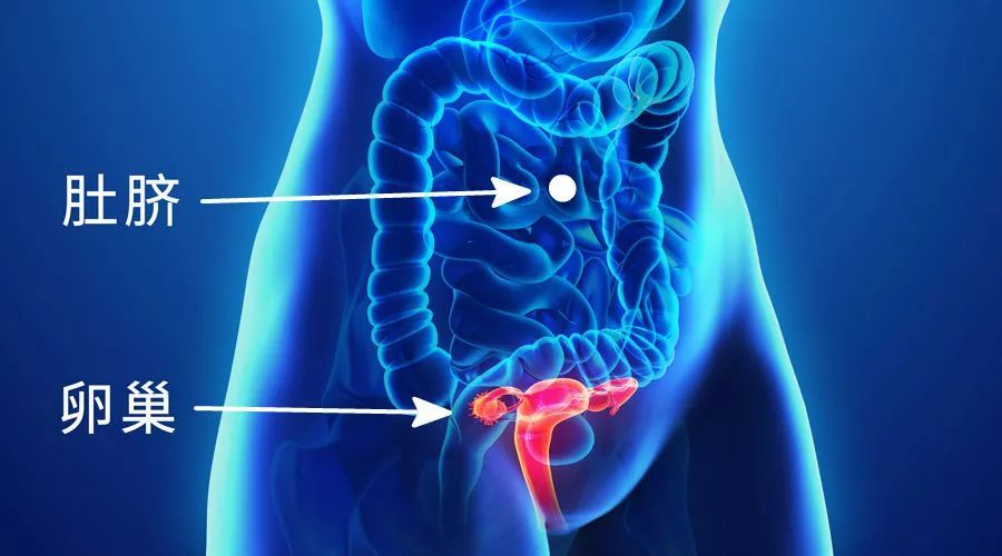 这些不正规美容院,坑惨了中国女人