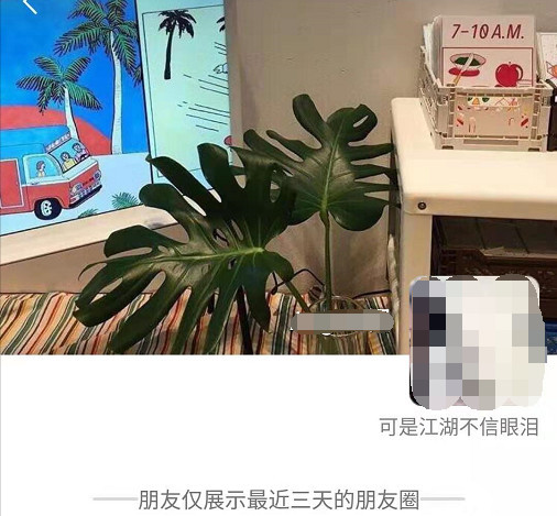 你朋友圈半年没发新动态,过得很孤独吧?