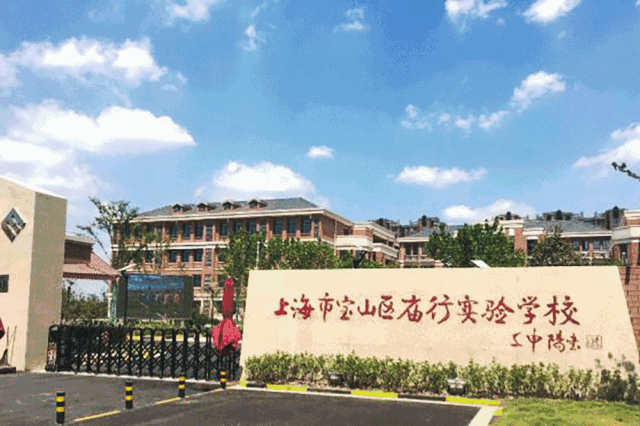 宝山区|实验小学|罗阳小学|幼儿园|上海|庙行|阎丽伦|教育|陈伯吹