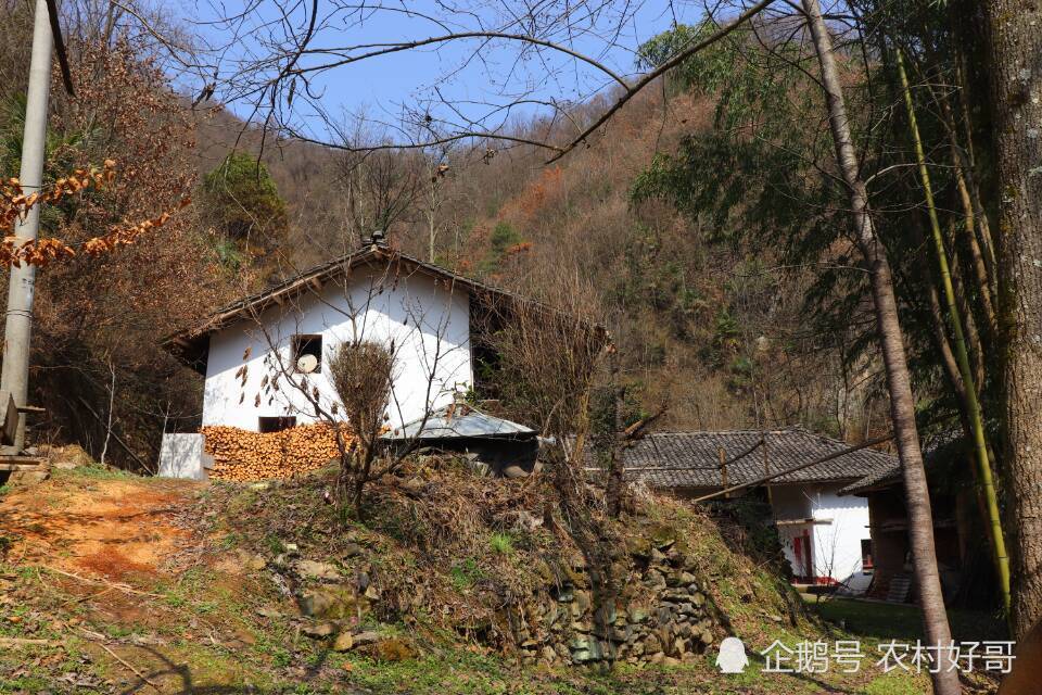 秦岭深山废弃的老房子安静的院落有啥故事