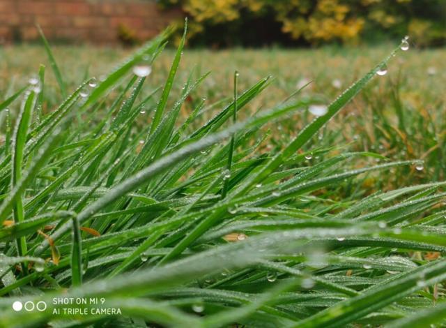 小米9测评:大家担心的电池续航问题,外媒是如
