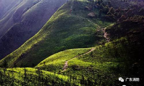 厦门一驴友坠入"恶魔谷",救援队刀劈斧砍辟出生命通道!