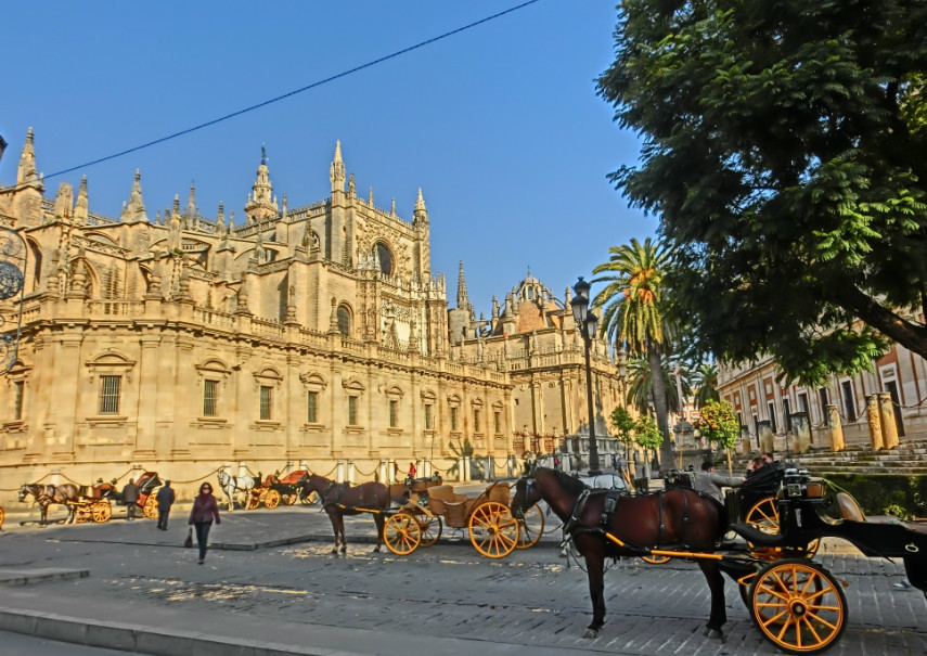 葡萄牙狂欢节出现辱华标语,中国游客愤怒,当地