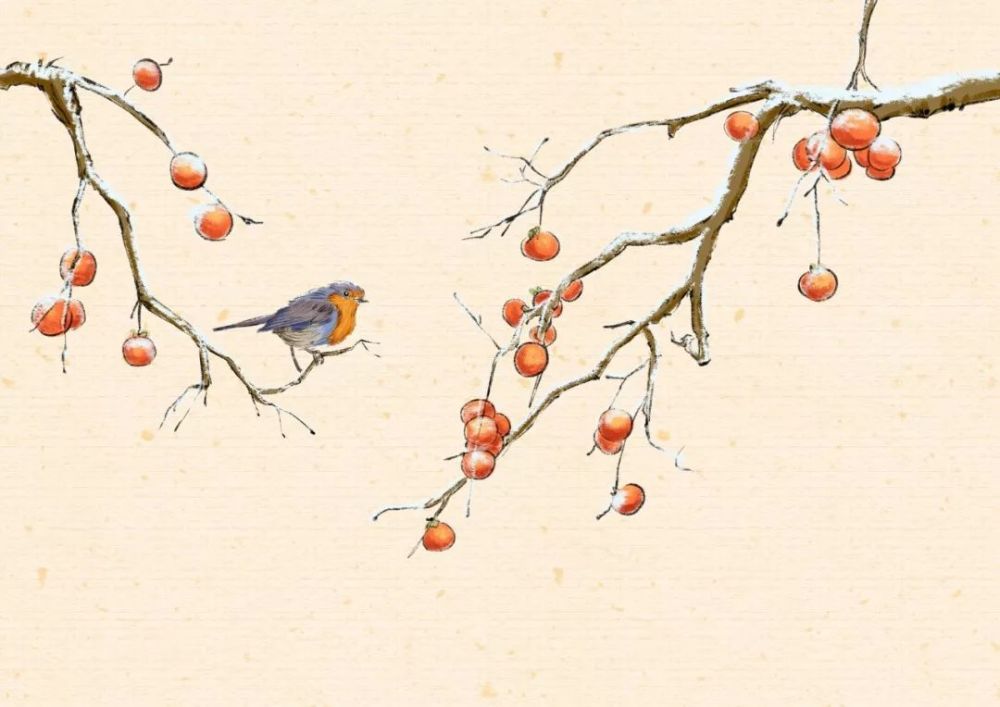 这些冷门词牌名,简直比诗还美