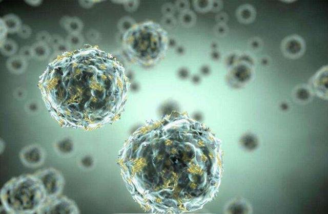 吃猪血豆腐后拉黑便,是身体排出的毒素吗?吃