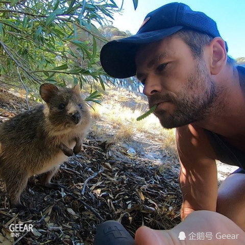 当雷神锤哥遇上短尾矮袋鼠,萌爆自拍超可爱!
