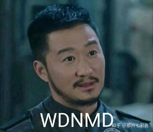 闸总最近一句wdnmd火遍网络