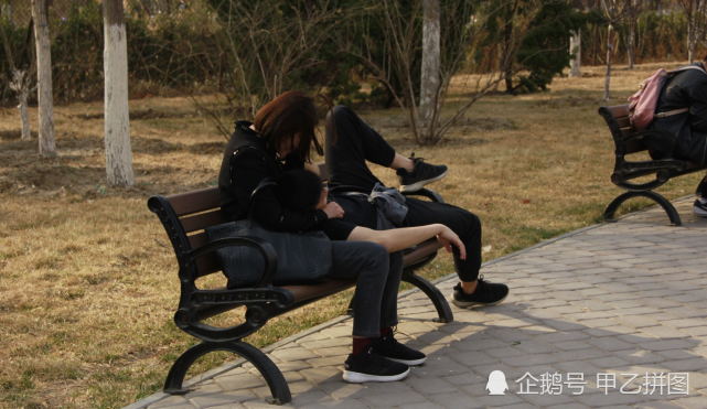 天津人注意!踏青赏花时这些不文明行为要避免