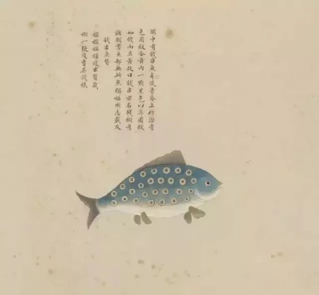 堪称古代版"海底总动员" 海错图里有哪些神秘动物?