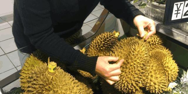 滿身是刺的榴槤怎麼 殺 選對地方下刀 處理更省力 食譜自由配 自由電子報