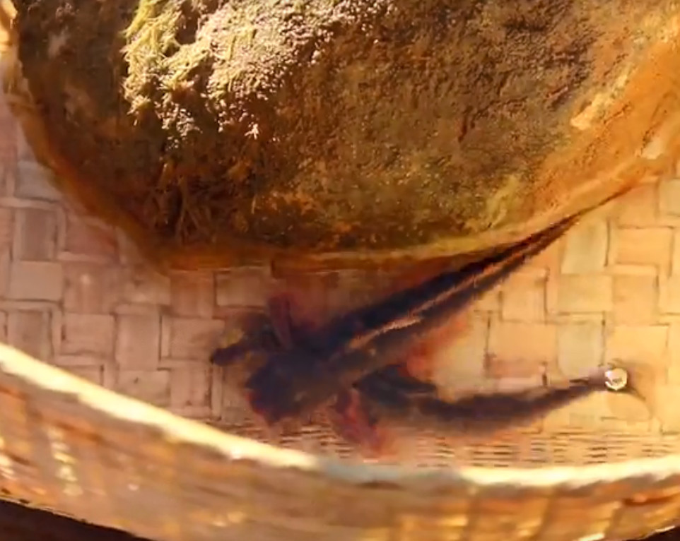 三月阳光正好,云南妹子下河抓"吸石鱼",用油干煸吃着很香酥