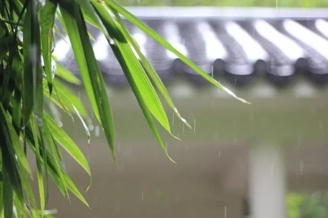 【圖文】尋一處靜謐,趕一場春雨|瘦西湖|鳳凰古城|華夢藝術館