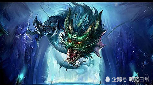 最像神兽青龙的动物 不吃东西能活6年 一个技能人类羡慕不来 青龙 普罗透斯 四大神兽