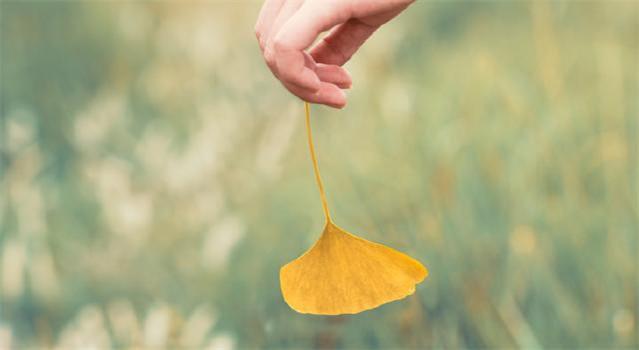 《宋词三百首》中的5首念奴娇词:玉鉴琼田三万