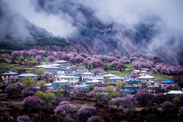 自驾进藏旅行包括哪些费用？