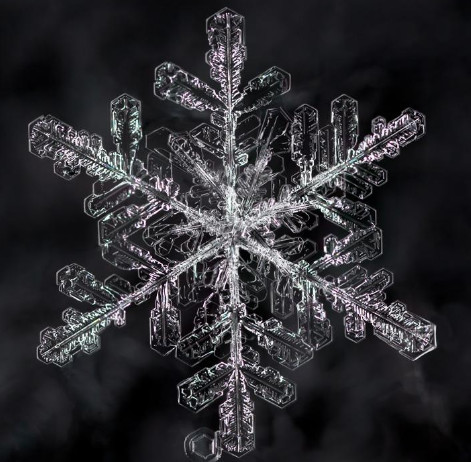 心理测试:5片独特雪花,哪片最让你心动?测ta是否会向你表白