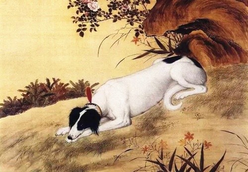 与狗有关的电影有很多,最有名的当属日本电影《忠犬八公的故事》,讲述