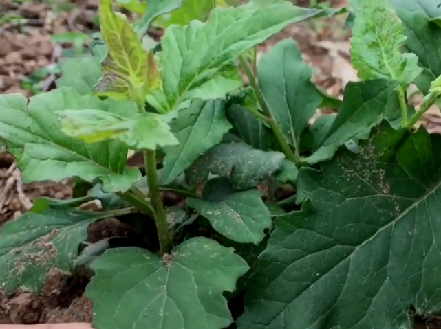 腾讯内容开放平台