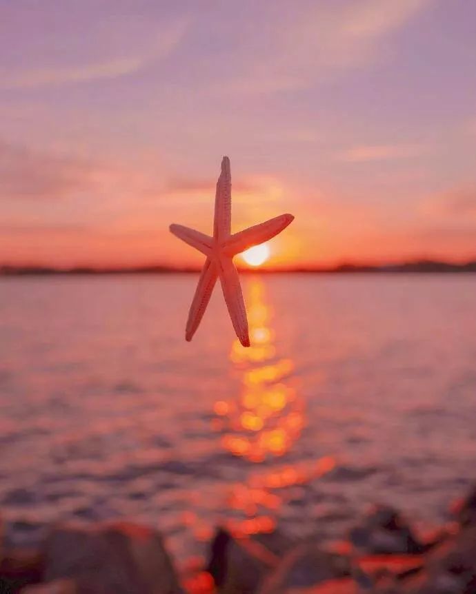 2021发朋友圈最火的走心句子,句句唯美入心