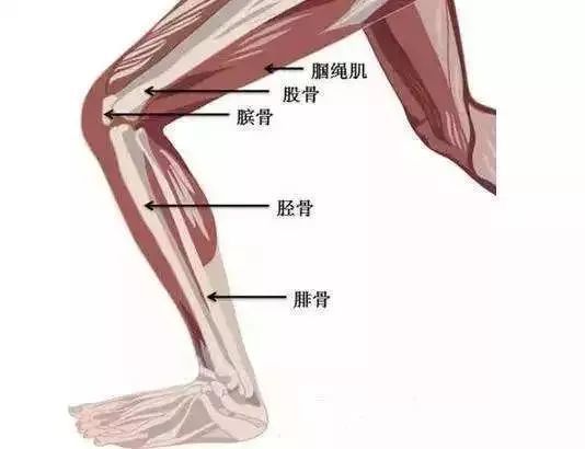 胫腓骨骨折术后康复训练 腾讯新闻