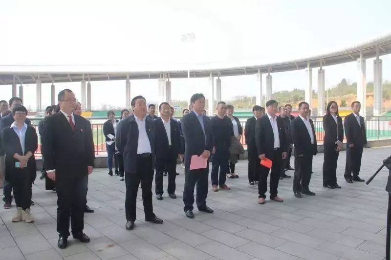 宁乡市文化旅游广电体育局今天揭牌成立