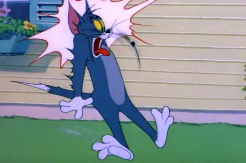 猫和老鼠:泰克还真倒霉,听爸爸话待得好好地,结果又被汤姆给祸害了!