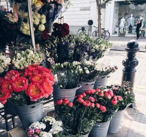 致自己35个人生金句:字字珠玑,句句铿锵,值得每