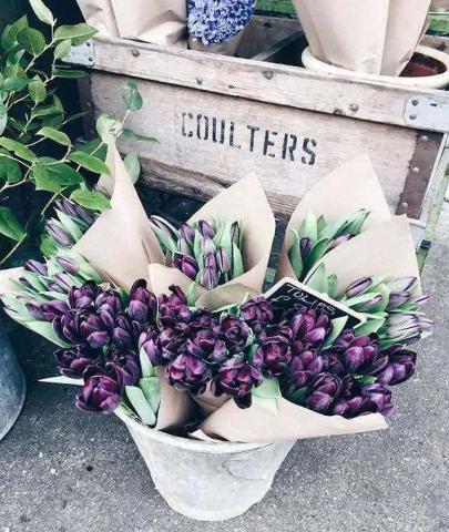 致自己35个人生金句:字字珠玑,句句铿锵,值得每