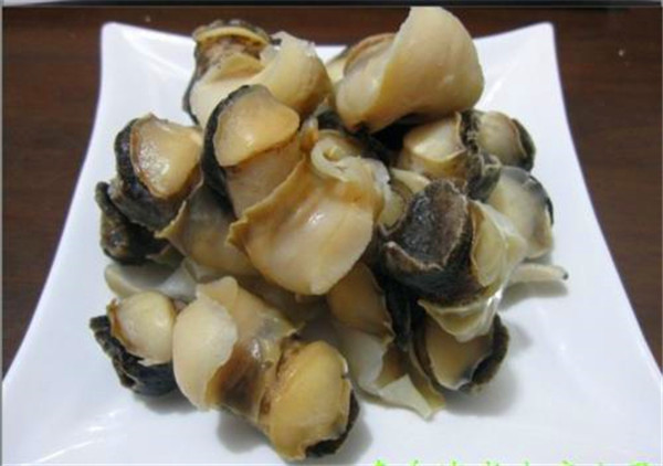 海螺尾部的"黄肉"是排泄物还是美味,不懂的乱吃白花钱