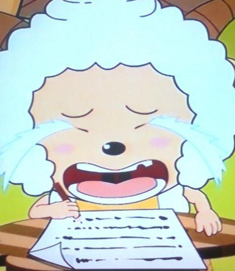 这一集堪称是喜羊羊最邪恶,最不顾同伴的一集了,甚至还撒谎诅咒养自己