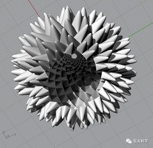 如何用数学玩出密集恐惧?开花就完事儿了