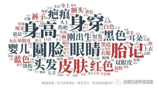 三亚飞鹭支队格斗训练营开营仪式(图片来源于网络图文无关)