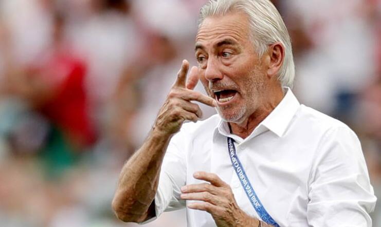 荷兰名帅执教阿联酋国家队 接替前国安主帅位