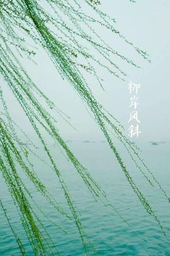 《春分》(佚名)春分雨脚落声微,柳岸斜风带客归.