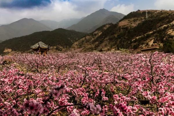 说走就走,清明踏青去这10个地方