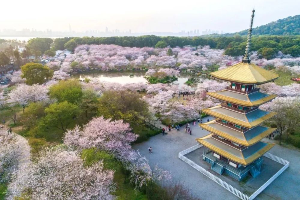 把酒祝東風 且共從容 與春的美好聚少離多 好在曾與你共賞一場奼紫