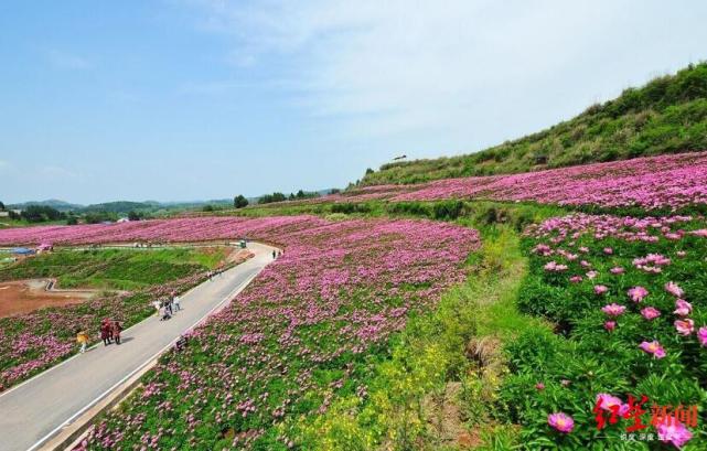 成都—玉皇養生谷—梨花溝—西南航空文化旅遊景區—龔家山——淮州