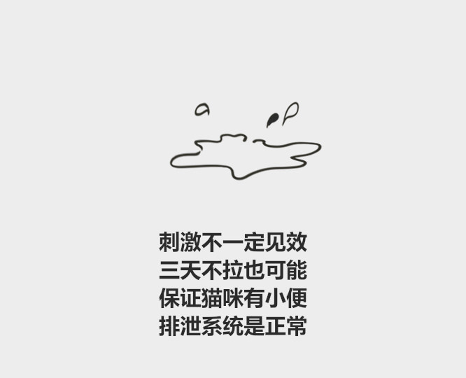 分分钟了解宠物知识,怎么教小奶猫用猫砂