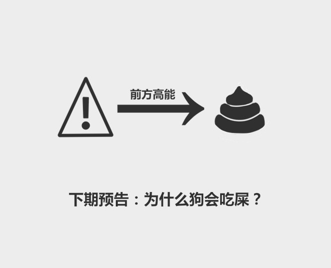 分分钟了解宠物知识,怎么教小奶猫用猫砂