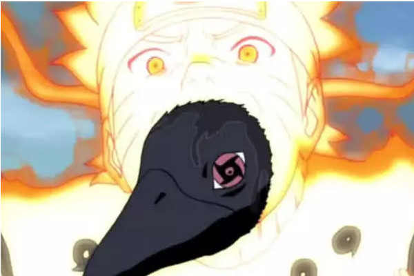 博人传,鸣人,雏田,火影忍者,乌鸦