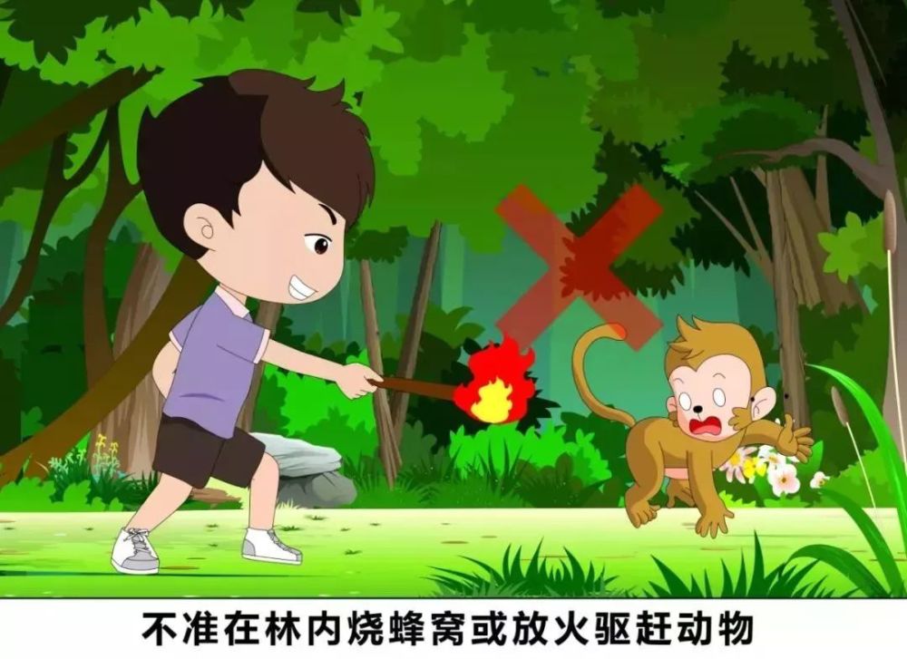 不准在林内烧蜂窝或放火驱赶动物,野生动物们怕火,森林里的树木更怕火