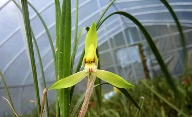 鸡皮疙瘩友美(鸡皮疙瘩小说在线阅读)