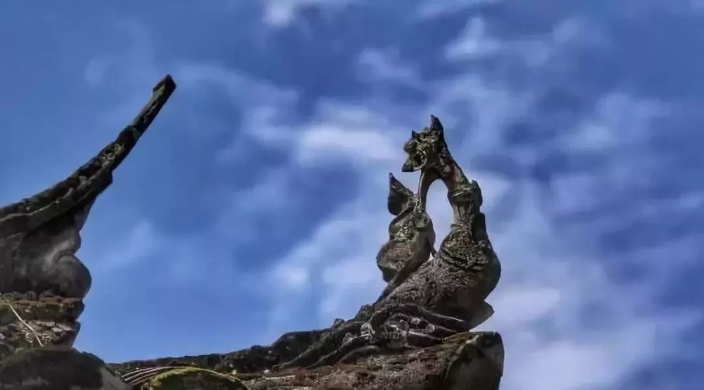 宁德20万株桃花盛放 最后10天赏春光