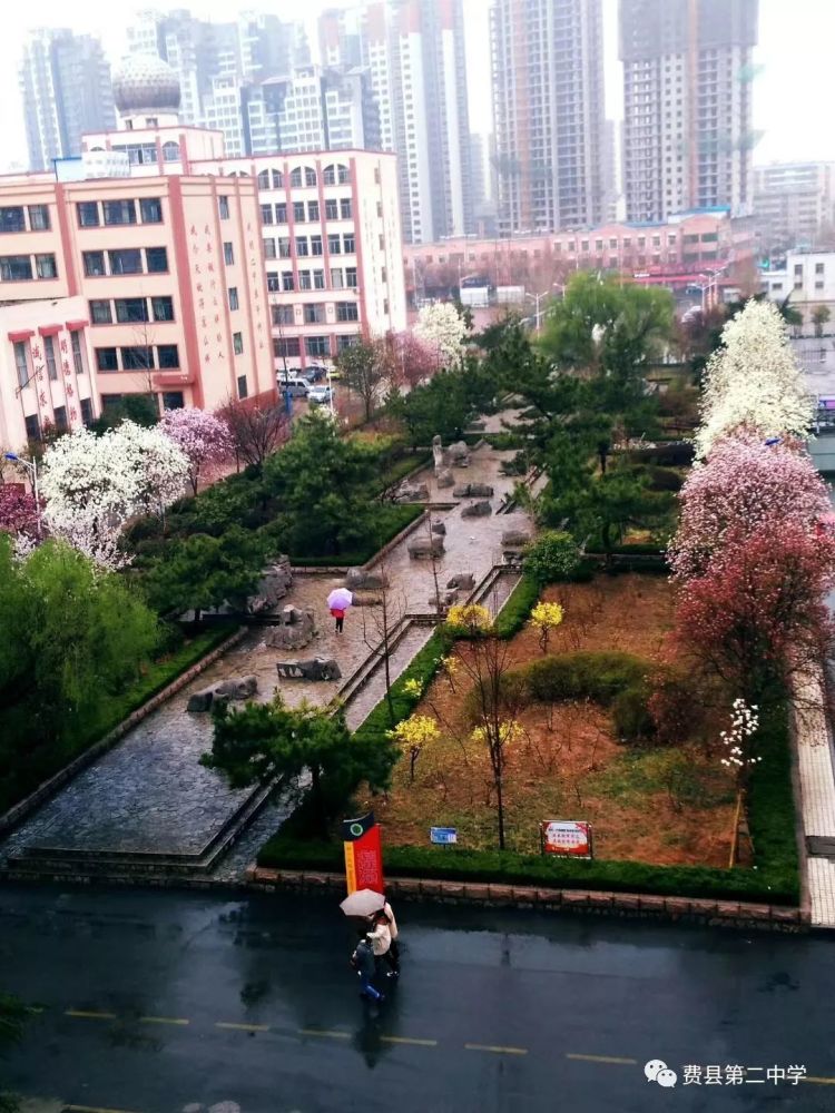 费县二中快闪花絮