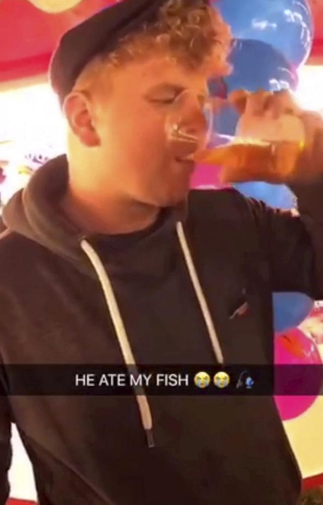 英国男子当众灌啤酒生吞女友宠物金鱼遭举报,被罚款300英镑