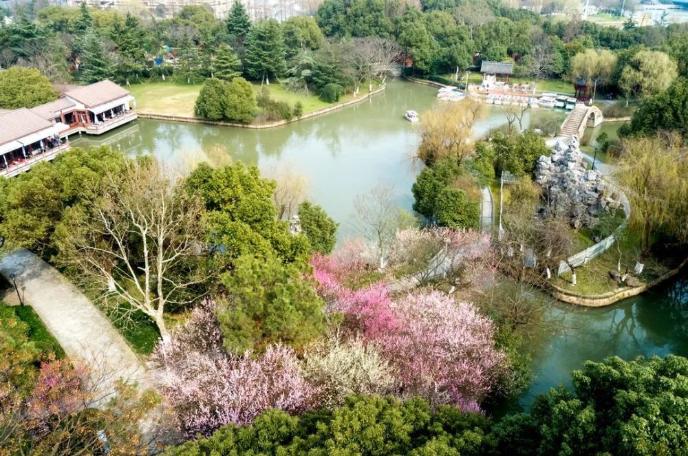 湖南卫视芒果小镇来了!10亿文旅项目落户平湖