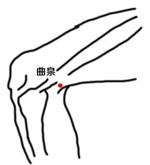 6,曲泉穴膝内侧横纹上方凹陷处.